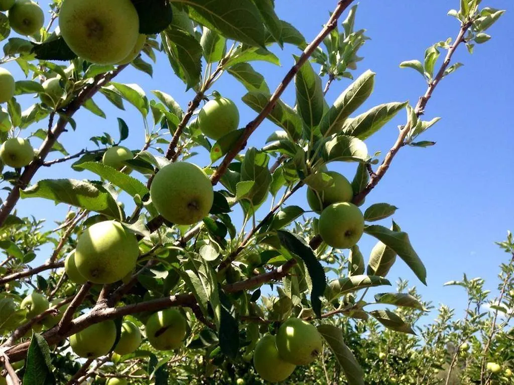 Agriturismo Sarrabus San Priamo